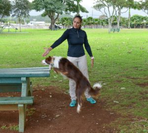 Maria training her dog to jump