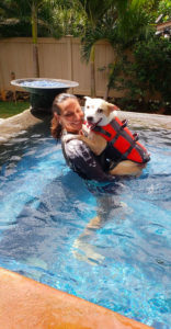 Dog swimming class in Hawaii