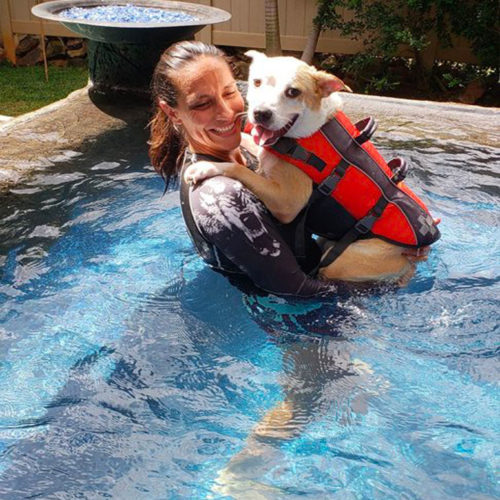 Dog swimming class in Hawaii