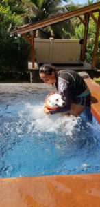 Maria training a dog how to swim in Hawaii