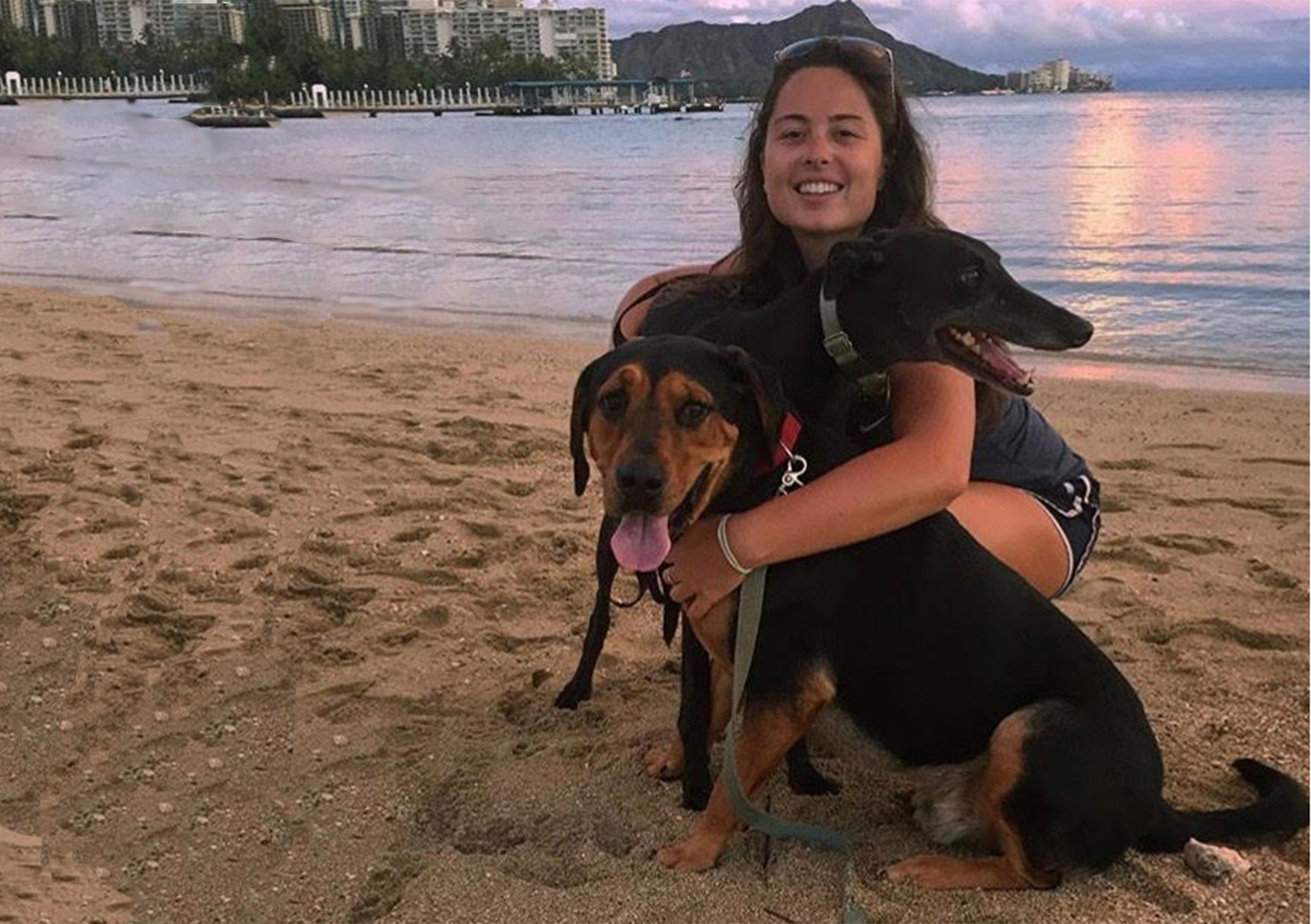 Dog trainer Alex with two dogs on the beach