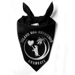 Island Dog Obedience bandana black