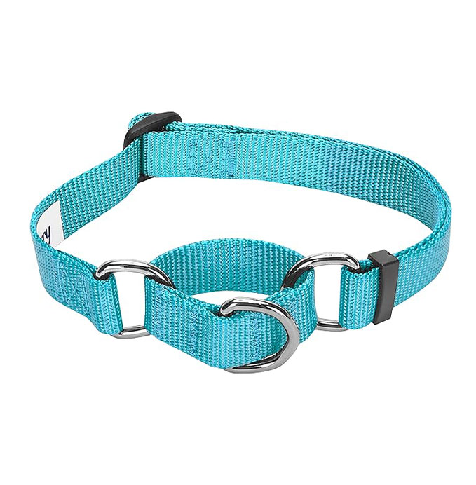 Blue training dog collar
