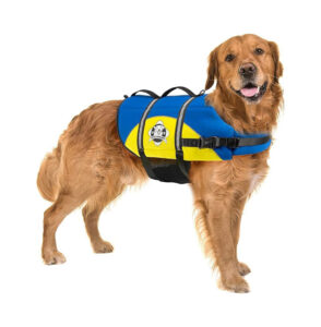 Dog lifejacket on a dog