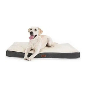 Dog on a dog bed