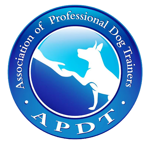 APDT Logo