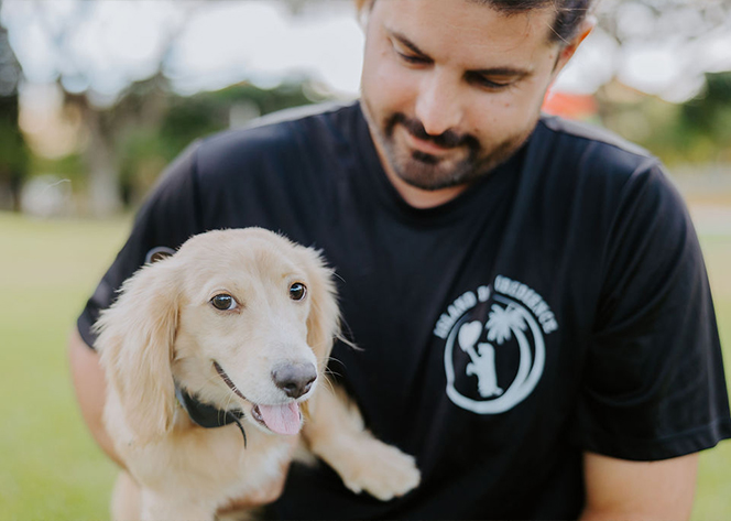 Dog trainer training a dog with a one on one session