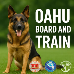 Oahu board and train image with dog