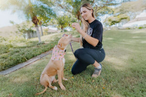 Raya training a dog at a park in Hawaii