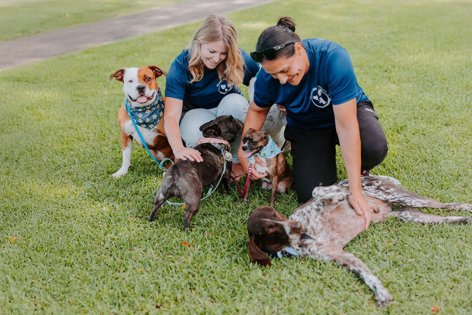 Dogs at the park with trainers during a board and train session.