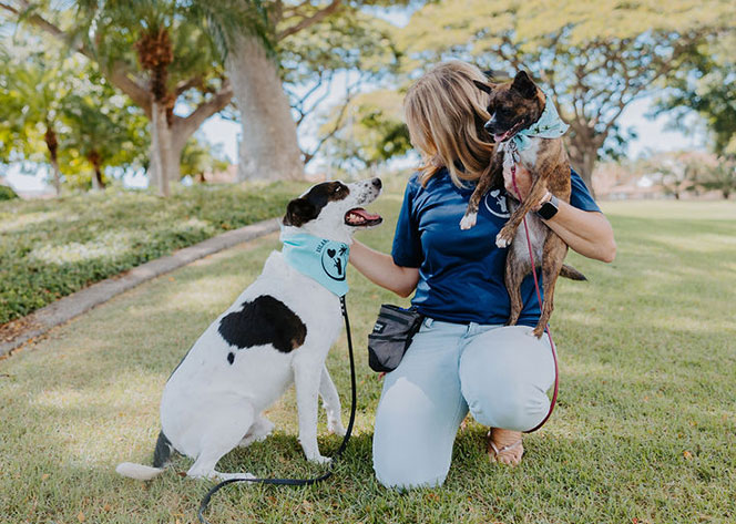 Two dogs with a trainer at the park during an at home consultation.